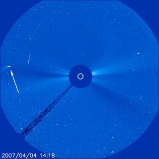 This view of comet Machholz was recorded by the SOHO space telescope in 2007.