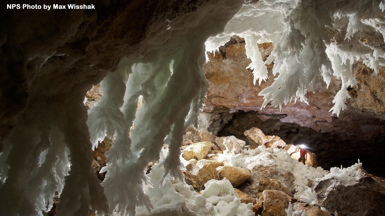A low cave filled with huge gypsum crystals. The crystals are branched. A cave explorer stands at the end of a tunnel further into the cave.