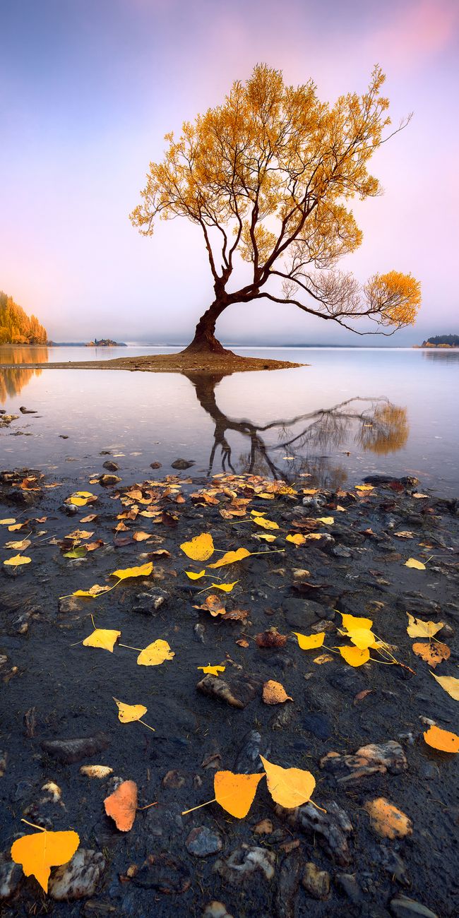 21 essential landscape photography tips you need to know