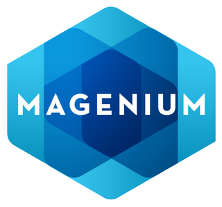 Magenium is AVI Systems Microsoft Consulting Practice.