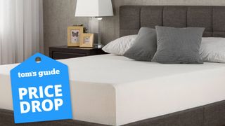 Zinus Green Tea Memory Foam mattress with a Tom's Guide deal tag
