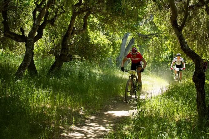 A little heat won't really slow down the always young Christoph Sauser (Specialized).