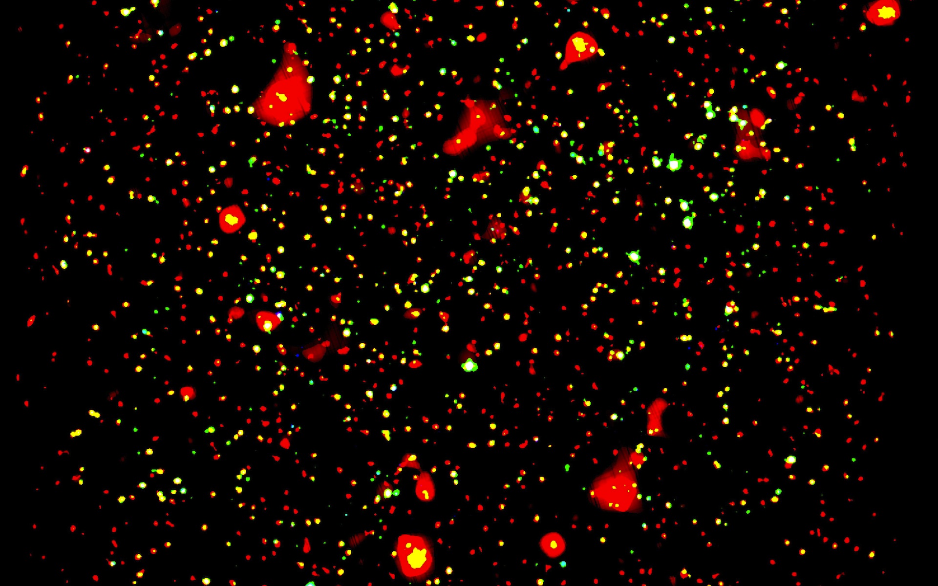 X-Ray View of COSMOS Field 