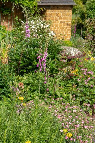 Pretty cottage garden plants, foxgloves and aquilegia next to staddle stone