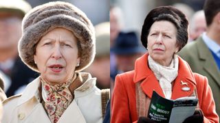 Princess Anne wearing fluffy hats at Cheltenham in previous years