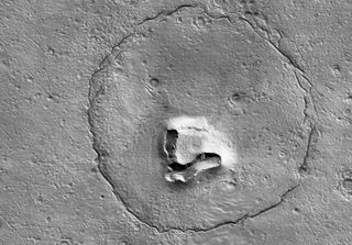 bear shaped face captured on mars
