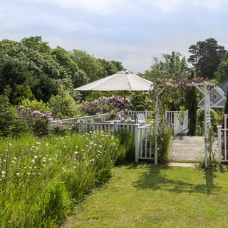 Garden lawn with wildflower meadow and decking