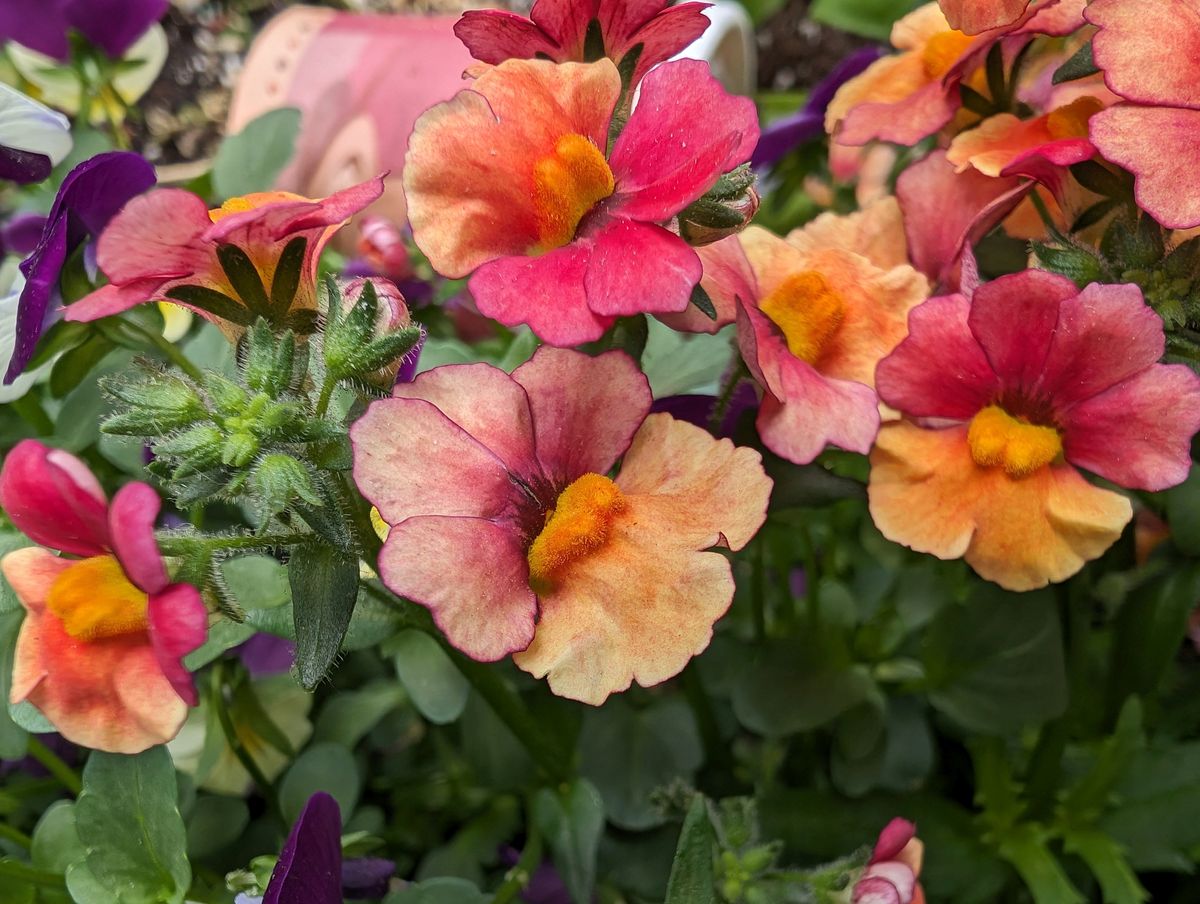 Google Pixel 8 Pro color reproduction sample