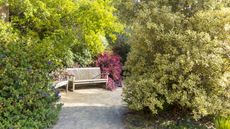 Shrubs around a bench in a botanic garden