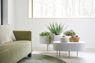 bright spaces and natural elements are key principles of biophilic design