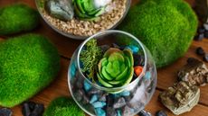 Composition of florariums and decorative moss stones