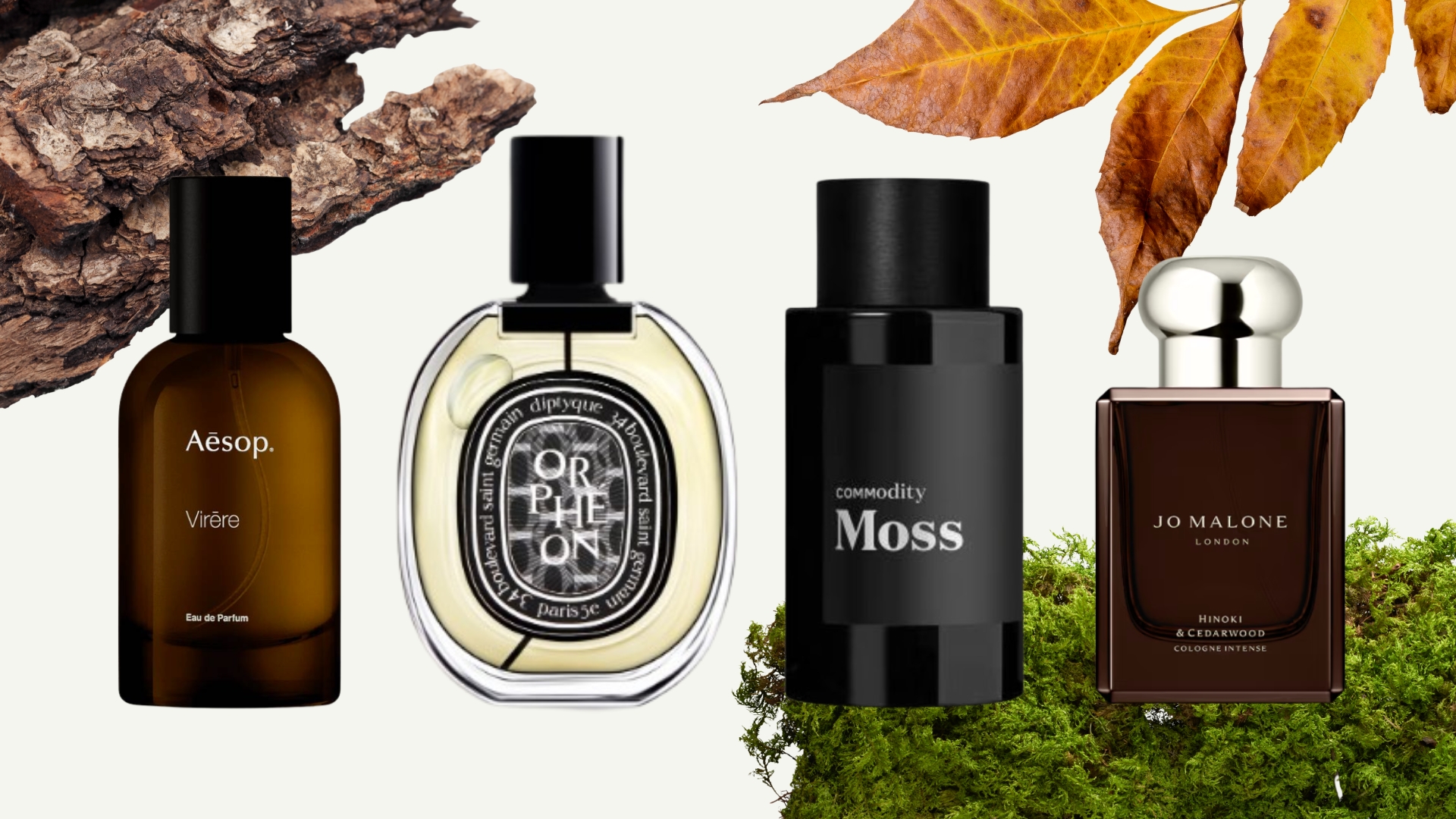 A collection of 'forest walk'-like perfumes from Aesop, Diptyque, Commodity and Jo Malone London, pictured alongside three stock images of tree bark, moss and orange, autumnal leaves, on a cream background