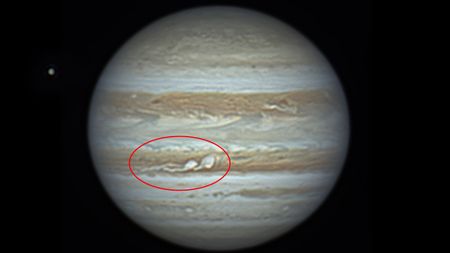 A photo of Jupiter with two white storms (circled) in one of the planet's large brown bands