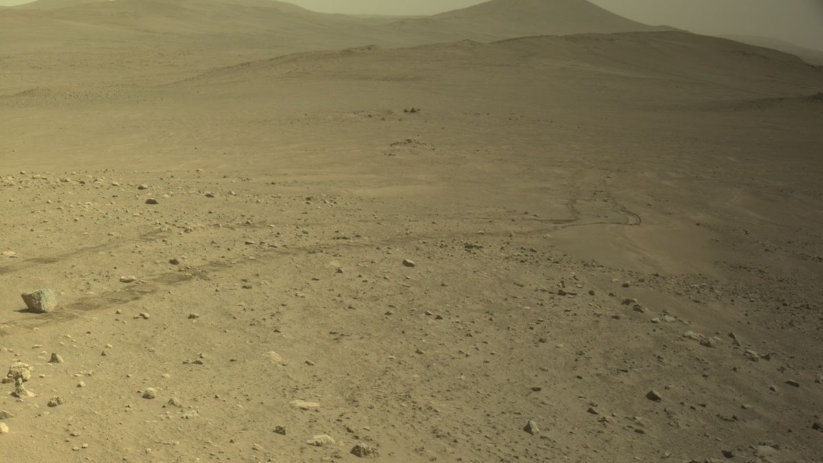 Post image 3
