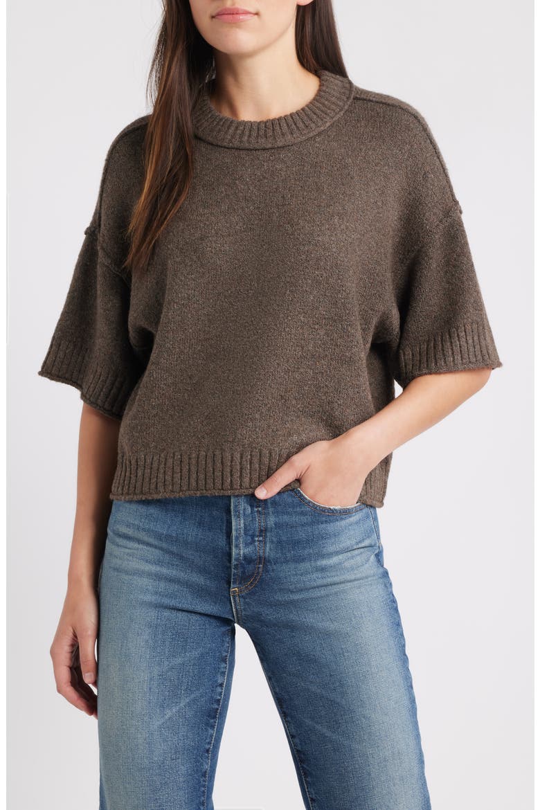 Broome Crop Short Sleeve Sweater