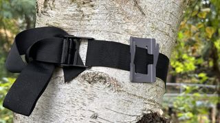 A photo of the Birdfy Feeder 2 Duo camera mount on a strap mounted to a tree