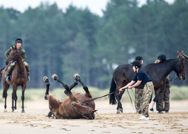 APOSE-2017-037-KTRHA-Beach-Ride054316.jpg