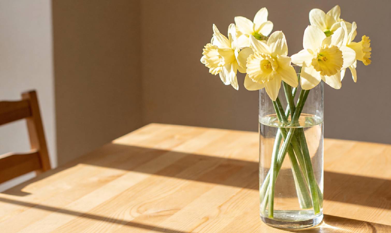 Daffodils in a vase of cold water