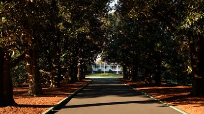 Magnolia Lane at Augusta National