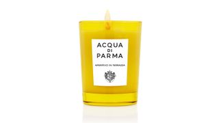 best scented candles, Acqua di Parma Aperitivo in Terrazza Candle