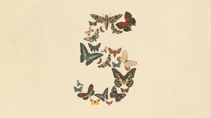 Fable 5, from Anthropic