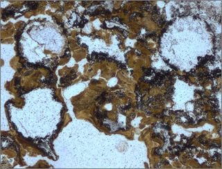 Microscopic bubbles preserved in rock in the Dresser Formation, Australia, could be a sign that a sticky bacterial mucus entrained bubbles billions of years ago, and as such, may be evidence for ancient life.
