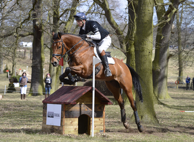 british eventing working group