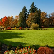 Beautiful, large lawn in the autumn