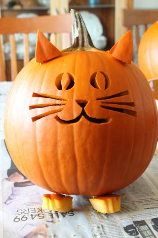 cat o'lantern