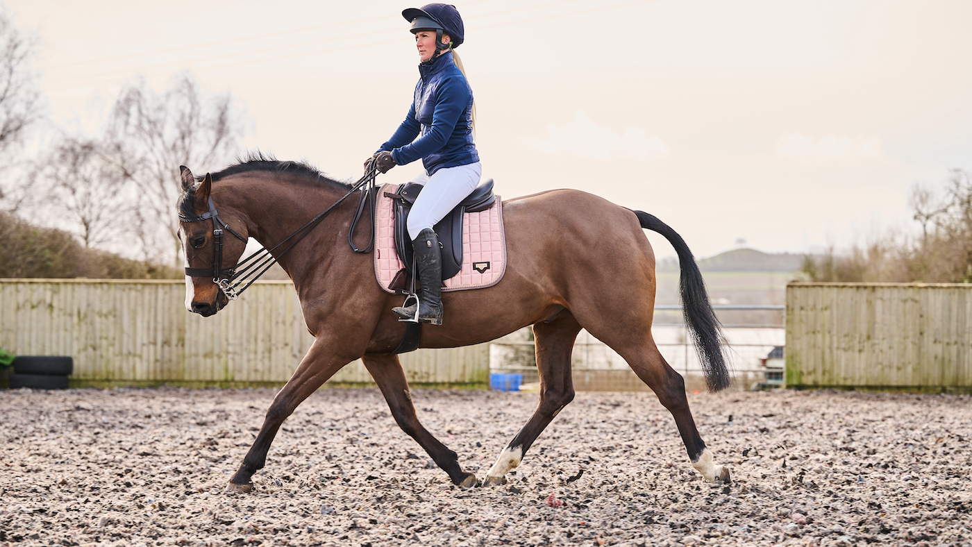 Horse trotting in an arena