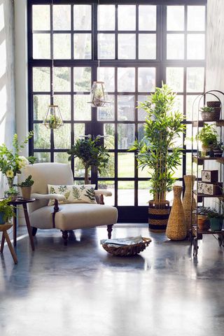 Style Your Home With Beautiful Botanics