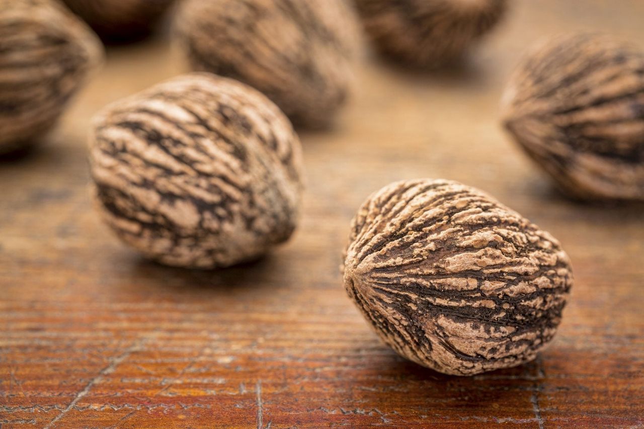 Black Walnuts On Wooden Table