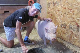 Marc Bekoff with Geraldine the pig.