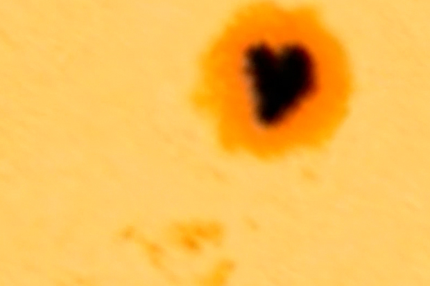 The sun has a giant heart-shaped sunspot called Active Region 2529 that is currently facing Earth, as seen in this image from NASA&#039;s Solar Dynamics Observatory.