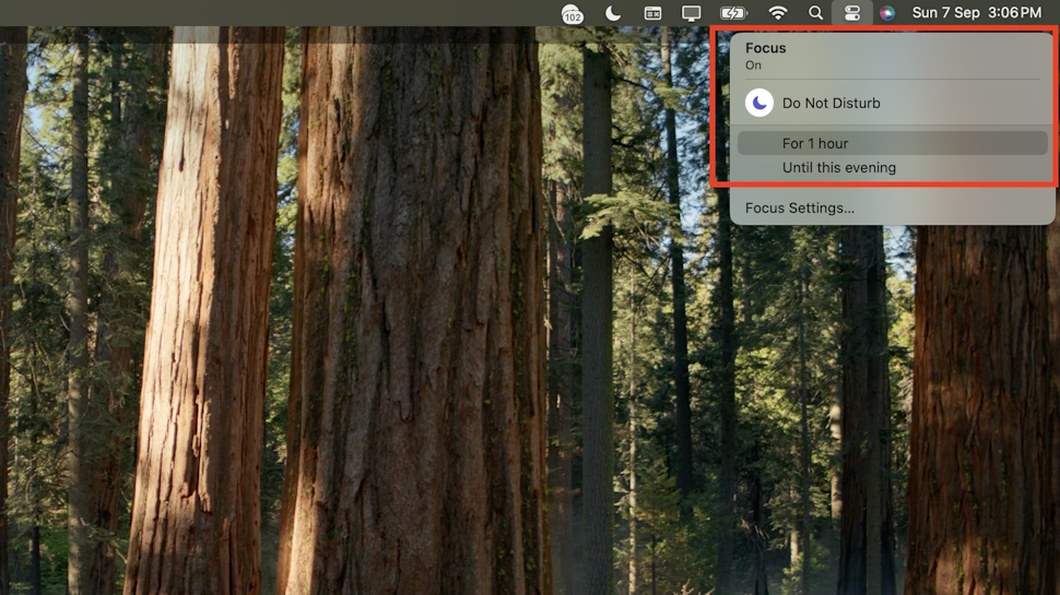 How to switch on Do Not Disturb on macOS