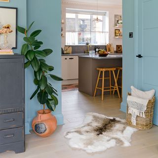 blue living room through to kitchen