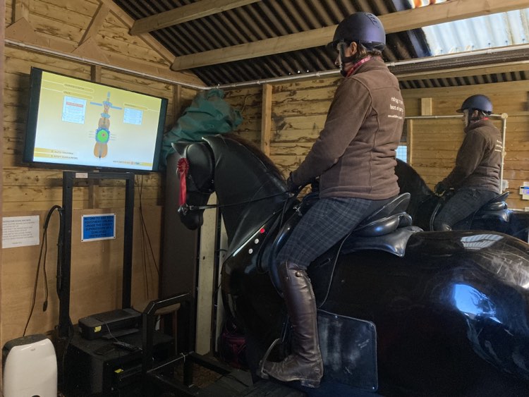 Learning to ride as an adult &amp;ndash; horse simulator