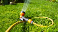 A yellow hose spraying water on a lush lawn