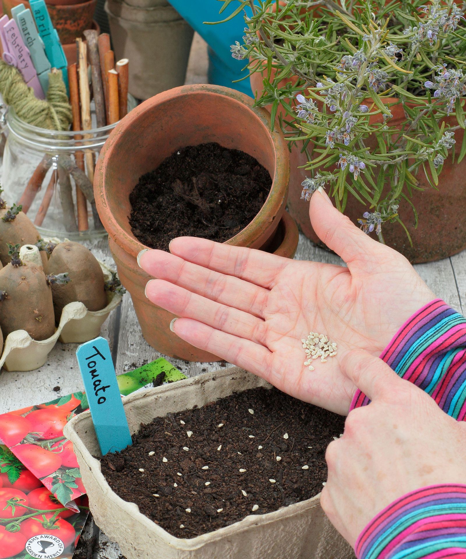 vegetable-planting-calendar-a-monthly-guide-for-your-plot-gardeningetc
