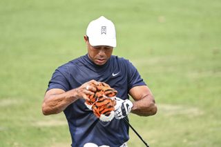 tiger woods headcover