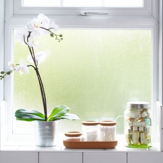 white tiles window ledge with flower pot and toiletries