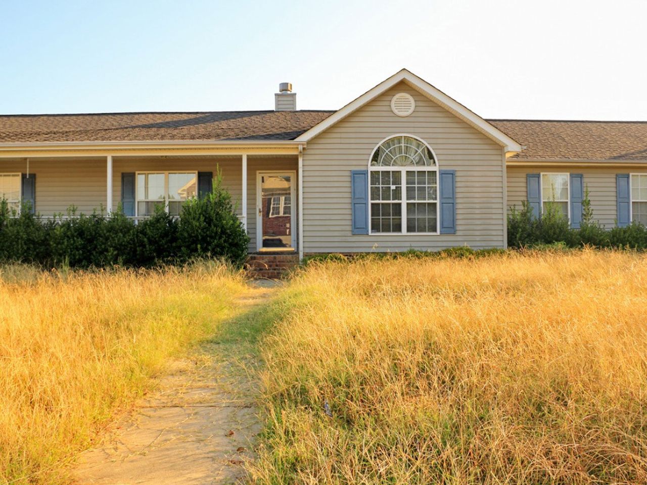 Overgrown Yellow Grass Yard