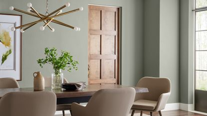 Sherwin-Williams Color of the Year