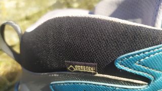 collar on hiking boot
