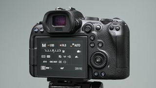 Canon EOS R6 rear view