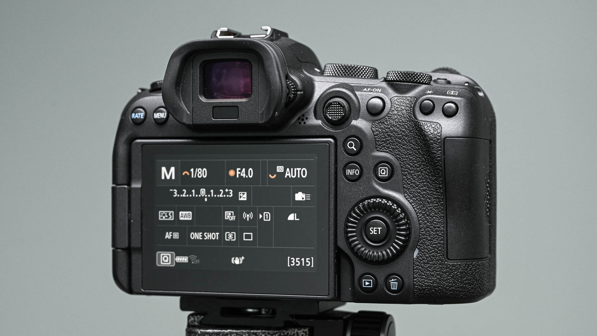 Canon EOS R6 rear view