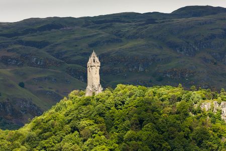 tower on a wooded hilltop