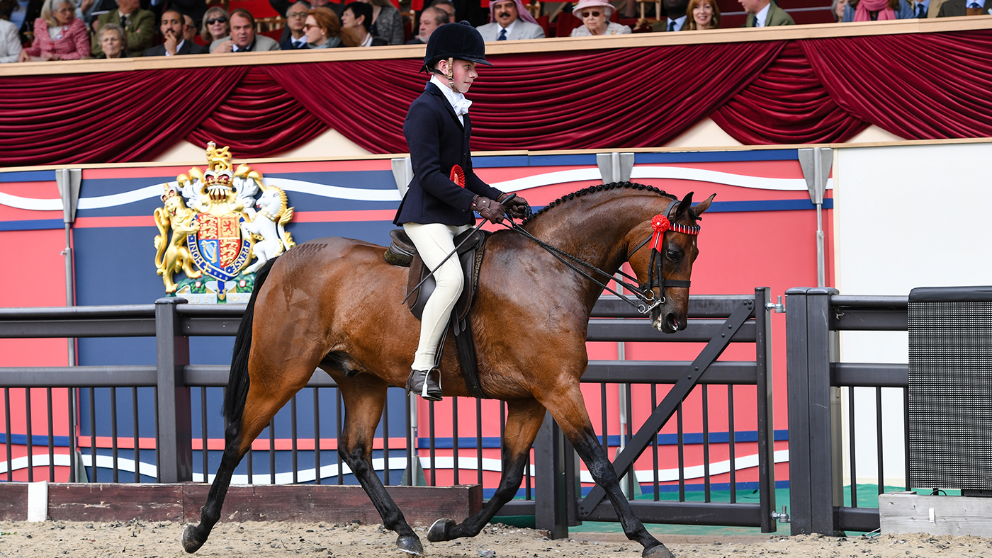 RWHS 10 05 19