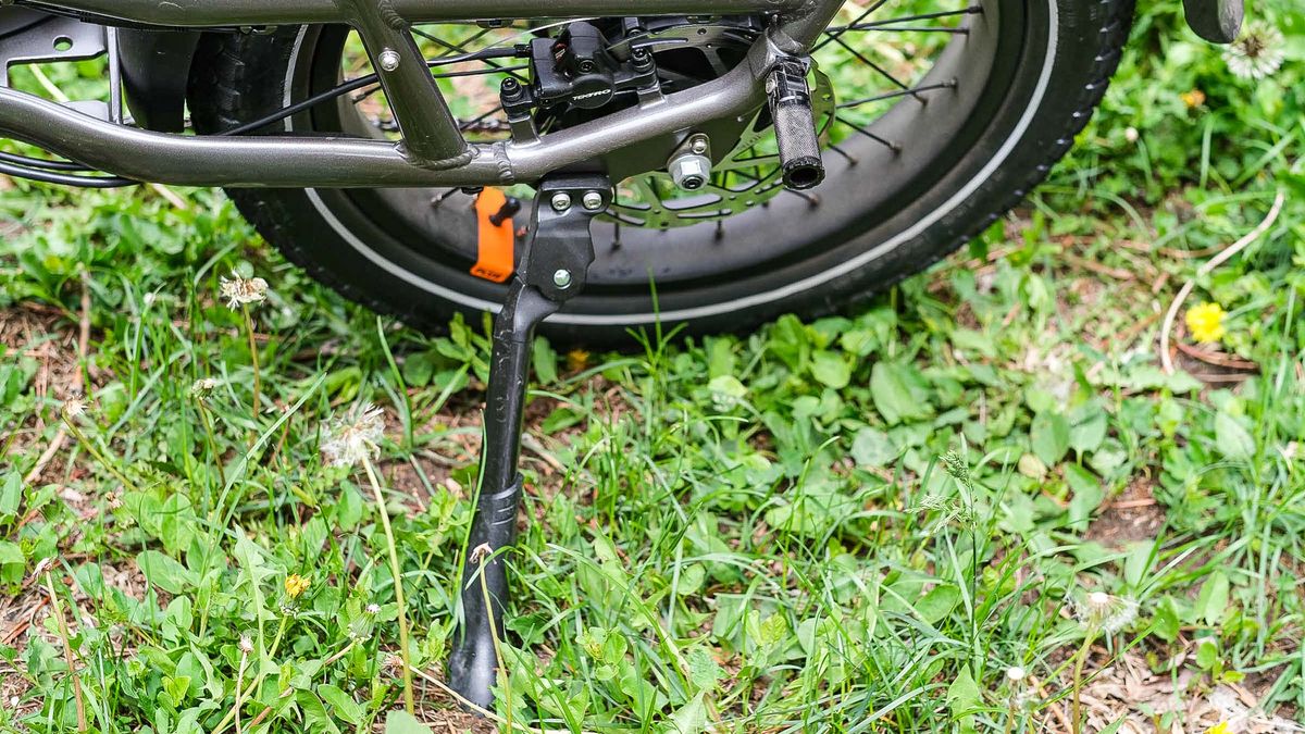 Radpower RadRunner 3 Plus e-bike in backyard