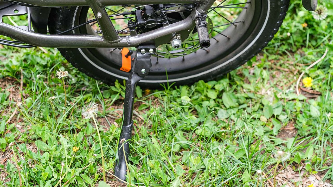 Radpower RadRunner 3 Plus e-bike in backyard